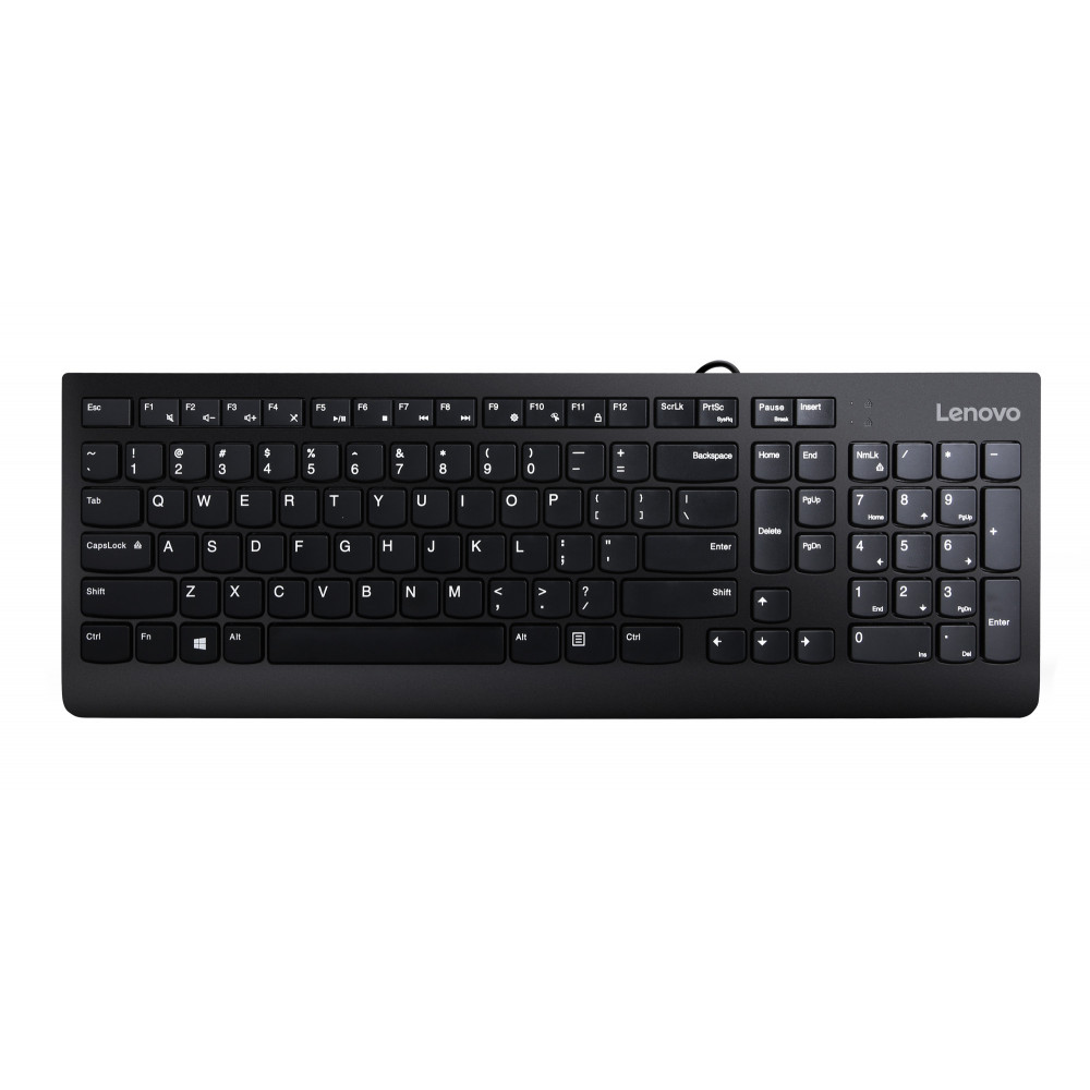 Lenovo 300 USB Keyboard (GX30M39684) [Vİ]