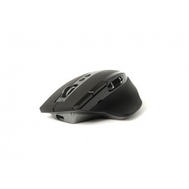 Mouse Rapoo MT750S