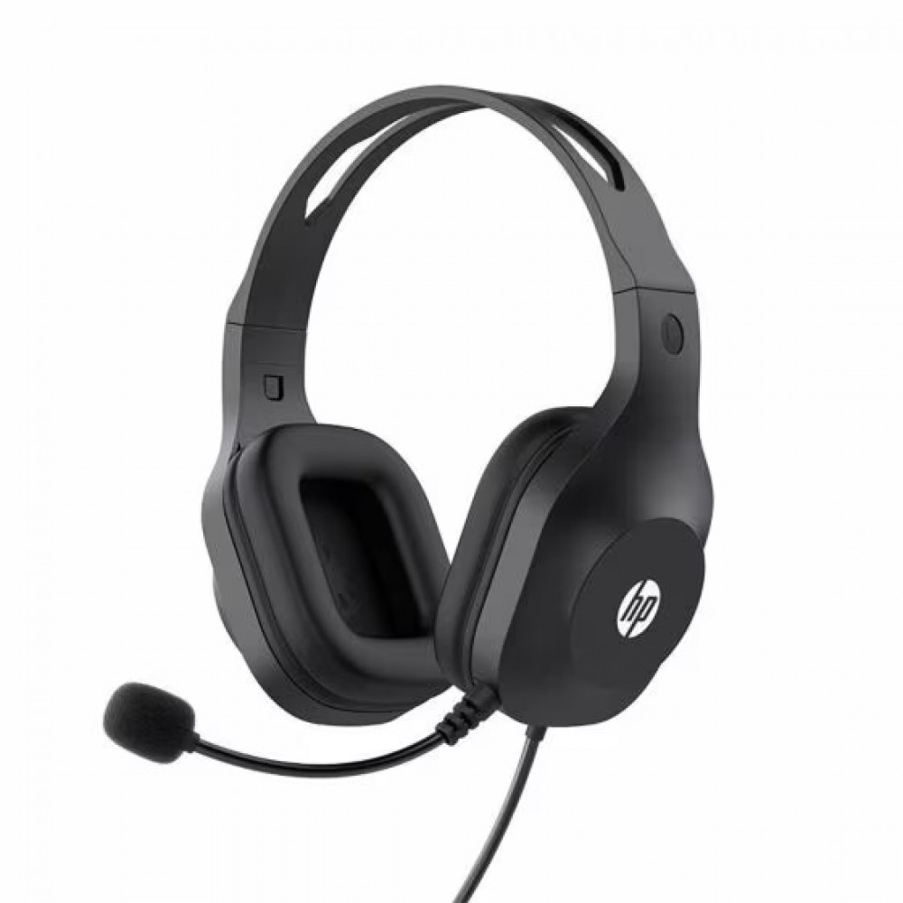 HP H120 Stereo USB Headset