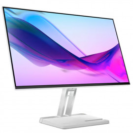 Lenovo L24I-4A 23.8 inch Monitor (67BCKAC6EU) [Vİ]